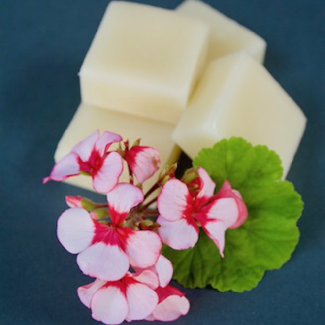 Solid conditioner bars KIT image 0